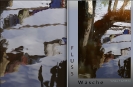 Fotometaphern Flussw?sche