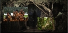 Mystische Amazonas