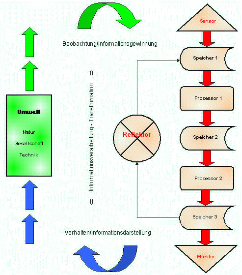 Komplexität und Dynamik informationsverarbeitender Systeme