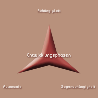 Entwicklungsphasen