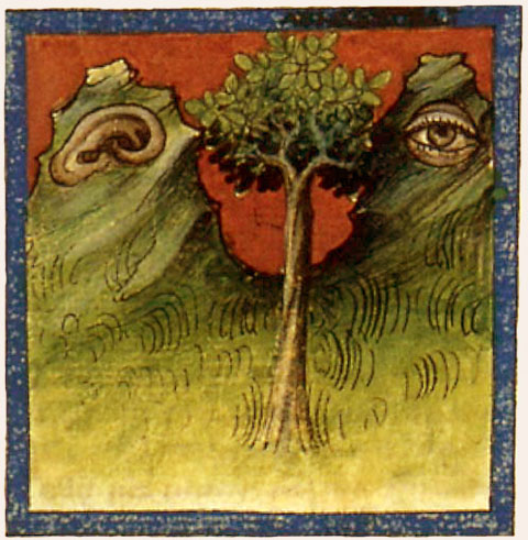 Die Natur hat Augen und Ohren