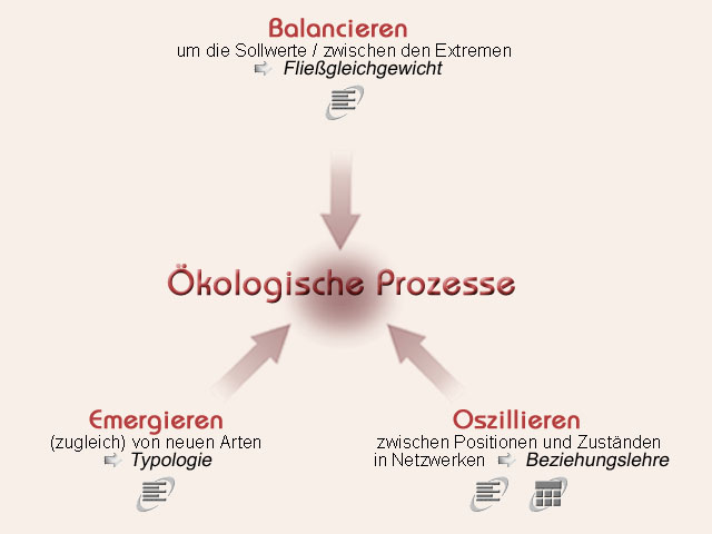 Dimensionen kologischer Prozesse