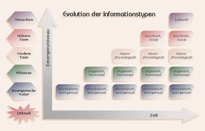 Evolution der Informationstypen