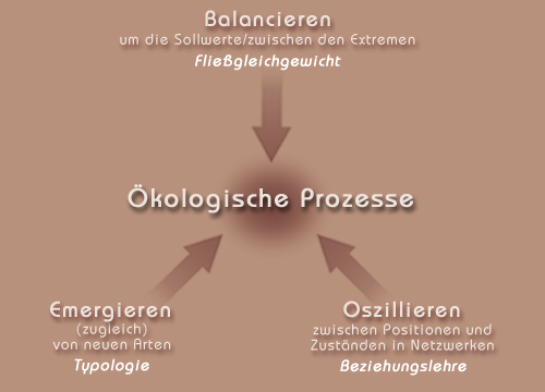 Schema: Dimensionen kologischer Prozesse