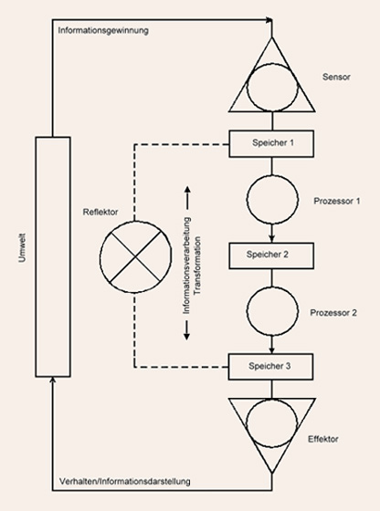 Komplexitt und Dynamik informationsverarbeitender Systeme
