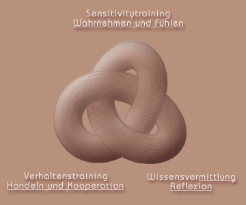 Schema: Trainingskonzept, triadisch