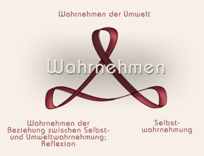 Schema: Wahrnehmen als sequentieller Prozess