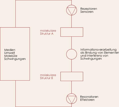 Molekulare Informationsverarbeitung