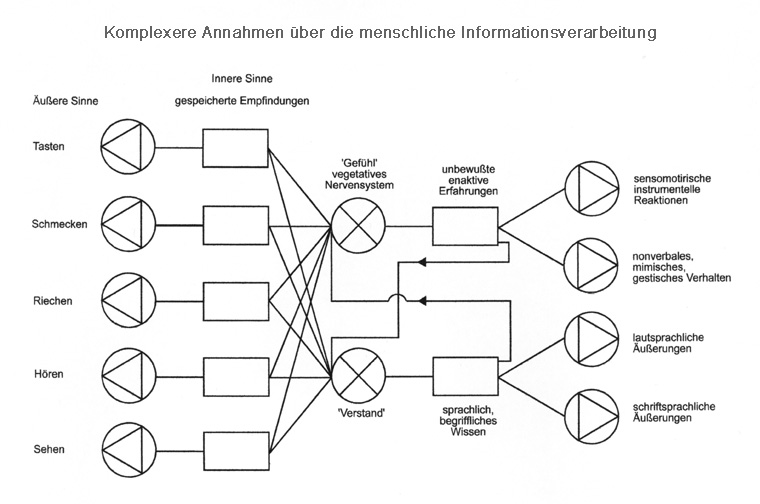 Schema: Komplexere Annahmen ber die menschliche Informationsverarbeitung