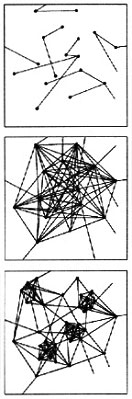Wachstum und Vernetzung