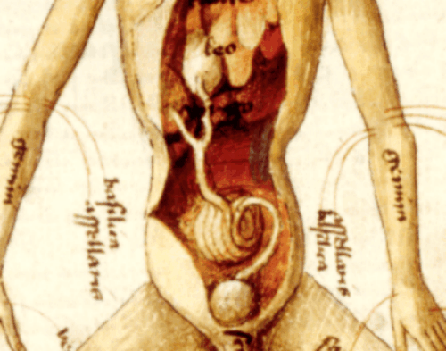 Detail der Zeichnung Aderlassmann aus der Handschrift Augustea