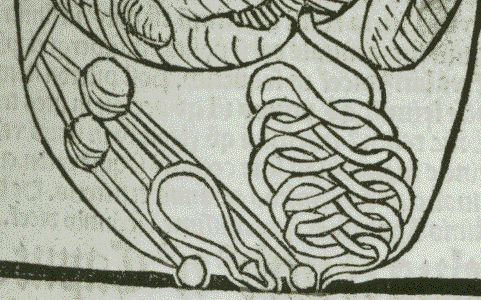 Datailansicht der Figura de Ssitu viscerum - Darm, Blase und Nieren