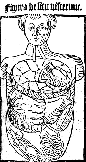 Figura de situ viscerum aus dem Antropologium de hois dignitate