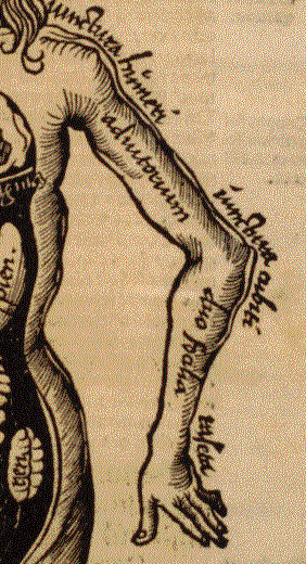 Gregor Reisch, Margarita philosophica, 1508, Detail Arm