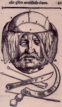 Walter Ryff, Skalpierter Kopf, aus: ANatomie, 1541