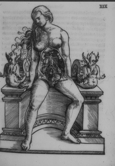 Walter Ryff, Anatomie, 1541