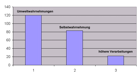 Wahrnehmungsspaziergang