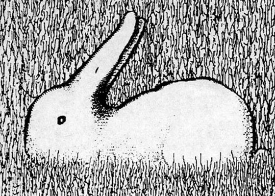 Schema: Hase/Ente