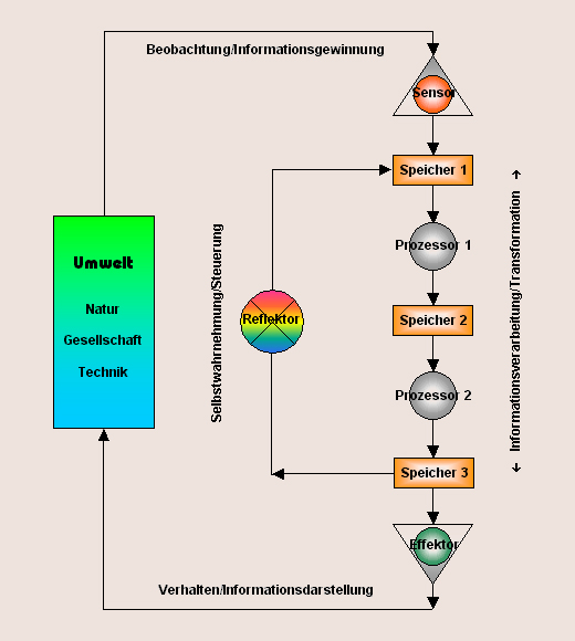 Informationsverarbeitung im Flussdiagramm