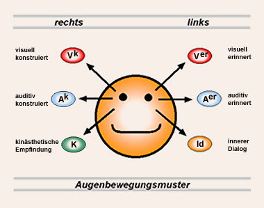 Schema: Augenbewegungsmuster